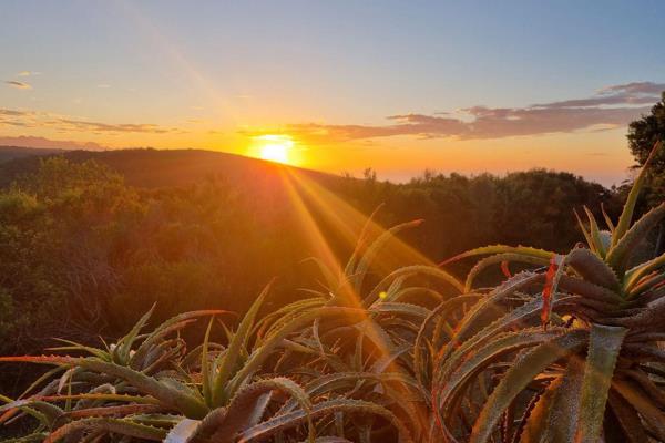 Nestled on a ridge above Keurboomstrand, experience the tranquility of countryside ...