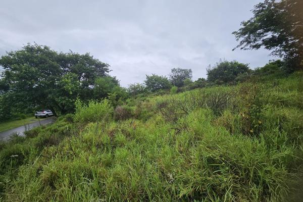 1531m2 Vacant land for sale in the Zini RIver Estate.

Breathtaking views of the river and lush greenery, offering a serene and ...