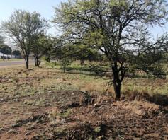 Vacant Land / Plot for sale in Buffelshoek AH