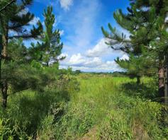 Vacant Land / Plot for sale in Sheffield Ridge