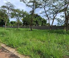 Vacant Land / Plot for sale in Fauna Park