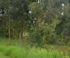 Vacant Land / Plot for sale in Dullstroom