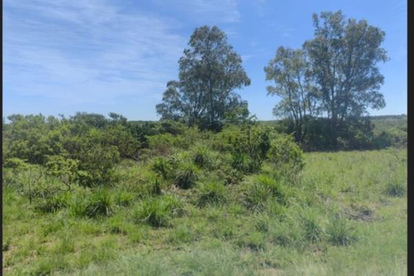 Sizwe Mlungwana Properties introduces this plot situated Coveridge rural Farm.

ERF size of the plot is 700 m&#178; .

The plot ...