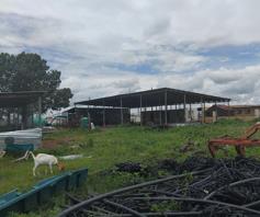 Farm for sale in Polokwane Rural