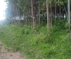 Vacant Land / Plot for sale in Mzingazi