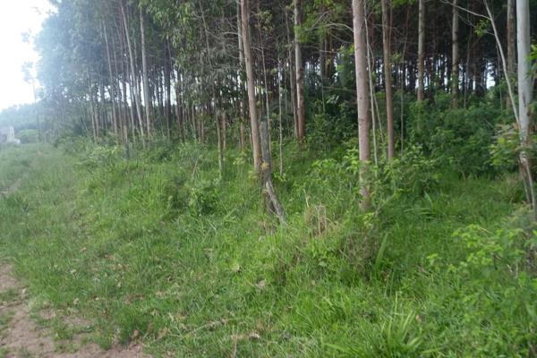 This land is very close to the main road making it easily accessible and it situated in Nhlanzini very close to schools.
This land has ...