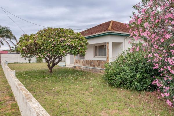 Welcome to 17 Boom Street, a Golden Oldie that is looking for a new owner to show her ...