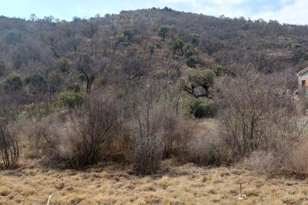 The stand borders on the slope of the Witwaters Mountain creating a backdrop of note for a newly designed modern home. Estate ...