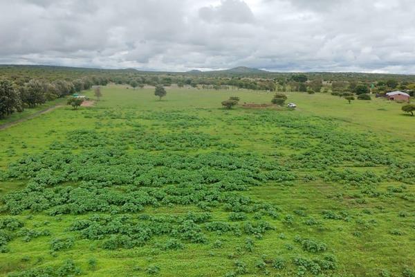 Exclusive Sole Mandate | This exceptional 8-hectare vacant stand offers endless possibilities for a young and ambitious farmer or ...