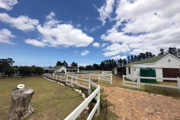 Beautiful Farm Property with Spacious Home, Flatlet, and Stables

Set on an expansive 1.2883-hectare piece of land, this exceptional ...