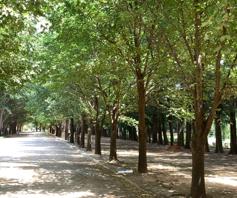 Vacant Land / Plot for sale in Magersfontein Memorial Golf Estate