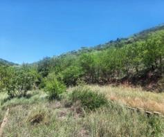 Vacant Land / Plot for sale in Malelane Rural