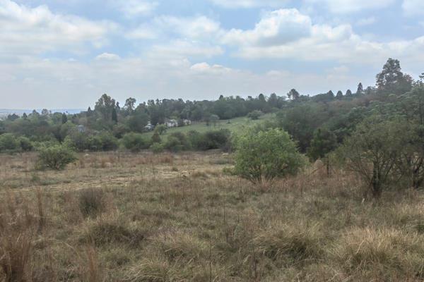 Seize the opportunity to build your dream home, on either of these adjacent Stands of 8565m2 (1 Morgen) each. Conveniently located in ...