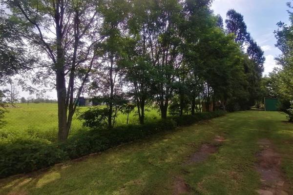 Comfortable family home for sale in Wakkerstroom, set in a peaceful valley overlooked by Ossewakop Mountain, a world-renowned ...