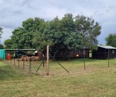 Farm for sale in Strydfontein AH