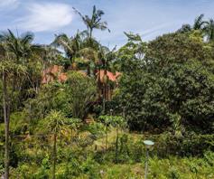 Commercial Property for sale in White River Ext 5