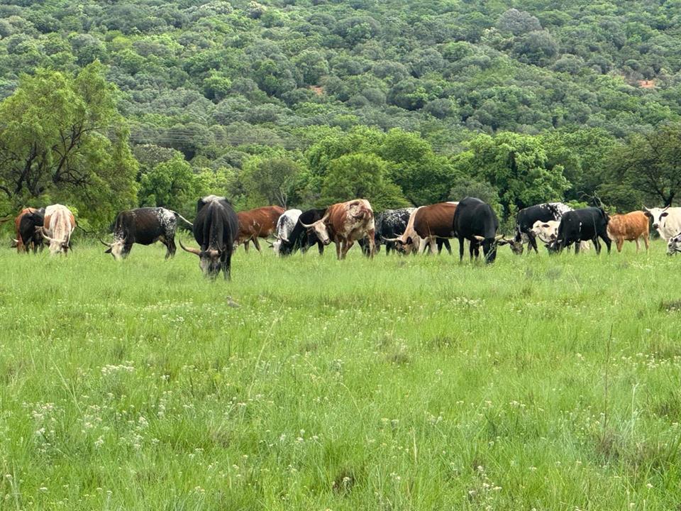 Farm for sale in Rustenburg Rural - P24-115411543