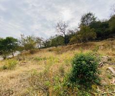 Vacant Land / Plot for sale in Milkwood Estate