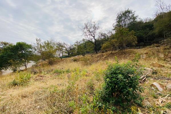 Vacant Stand in Secluded Estate with Building Plans

This vacant stand is located in a private and serene setting, offering peace ...