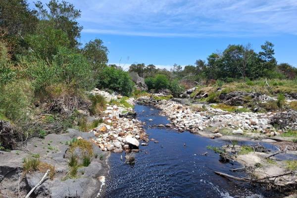 SOLE MANDATE

This profitable farming enterprise are nestled high in the mountains of the South- Western Cape, adjacent to pristine ...