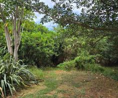 Vacant Land / Plot for sale in Noorsekloof