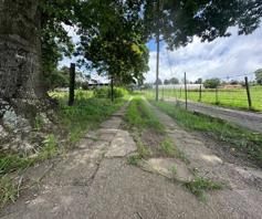 Farm for sale in Manderston