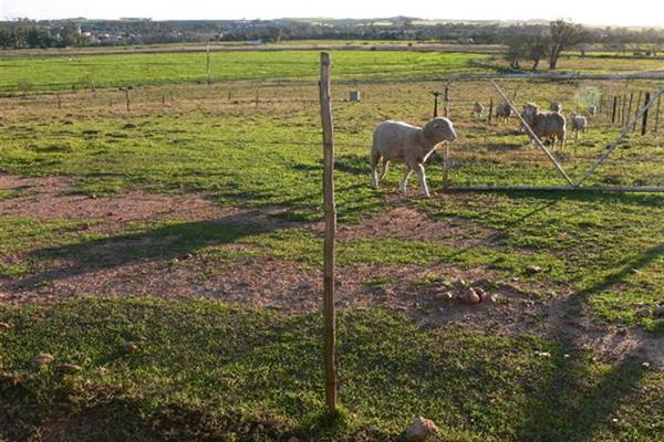 Nice piece of land, about 1km outside town.  About the whole  2.47ha are established under permanent sprinkler irrigation under ...