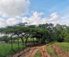 Farm for sale in Lushof AH