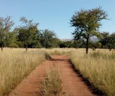 Vacant Land / Plot for sale in Renosterfontein AH