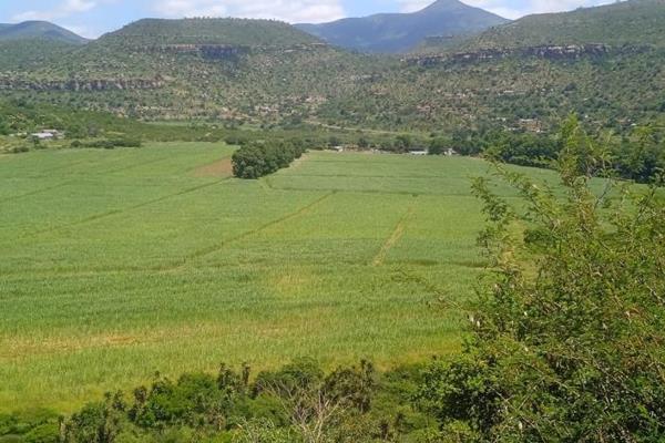 This well-established 209-hectare sugarcane farm is located in the fertile agricultural area of Muden, Greytown, KwaZulu-Natal. With a ...