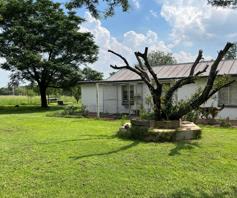 Farm for sale in Homelands