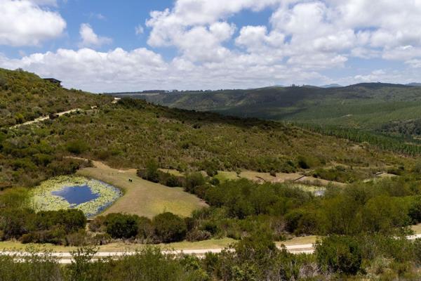 Luxury Living Awaits in Pezula Private Estate – Build Your Legacy  

Welcome to a rare and exceptional opportunity to own a piece of ...