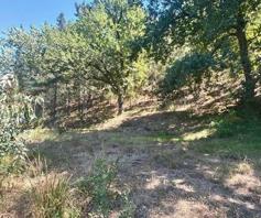 Vacant Land / Plot for sale in Suurbraak