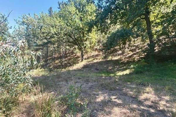 Very private with stunning views

This prime piece of land situated right on the border of town offers an exceptional opportunity to ...