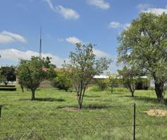 Farm for sale in Koppies Rural