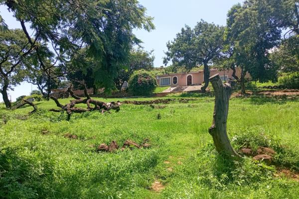 Farm for Sale in Ingogo, KwaZulu-Natal

Discover the charm and endless possibilities of this exceptional 23.7753-hectare property ...