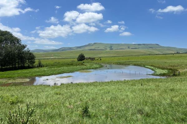 This ideally located farm only 4km from Mooi River town.

LAND COMPOSITION:  
*25 ha Arable land 
*8 ha established Eragrostis 
*40 ha ...