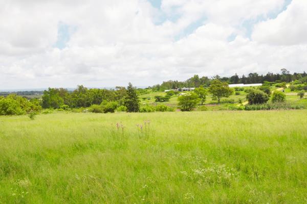 Vacant Land with Magnificent Views – A Rare Opportunity in Sun Valley

Inviting buyers to view and negotiate from R3 399 000 to R3 900 ...