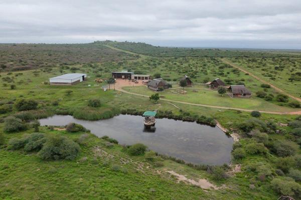 An extraordinary opportunity awaits you with this breathtaking farm situated a mere 70km from Polokwane. 
Offering unparalleled ...