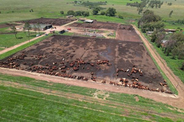 This Cattle Feeding lot has a capacity for 2600 head of Cattle and all the necessary infrastructure to make this operation run ...