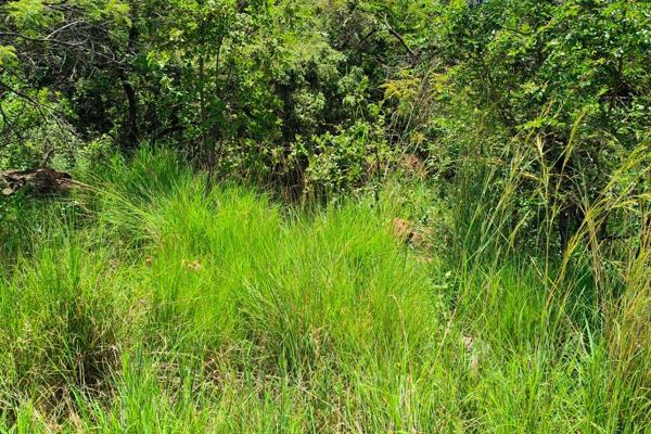 Stand 446 Krokodildrift Elandsrand Brits.

This is a beautiful piece of vacant land up in Elandsrand overlooking the ...