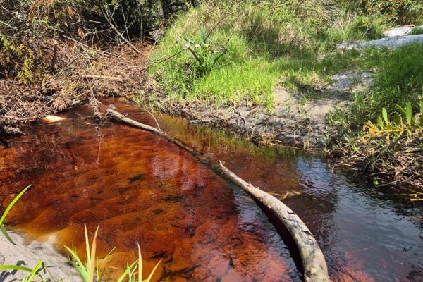 Idyllic Smallholding with Riverfront and Mountain Fynbos – Baardskeerdersbos

Escape ...