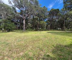 Vacant Land / Plot for sale in Brenton On Lake