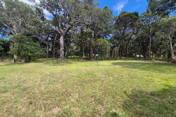 Discover one of the rare and affordable opportunities to own a stand within this prestigious, eco-friendly lifestyle estate. Nestled on ...