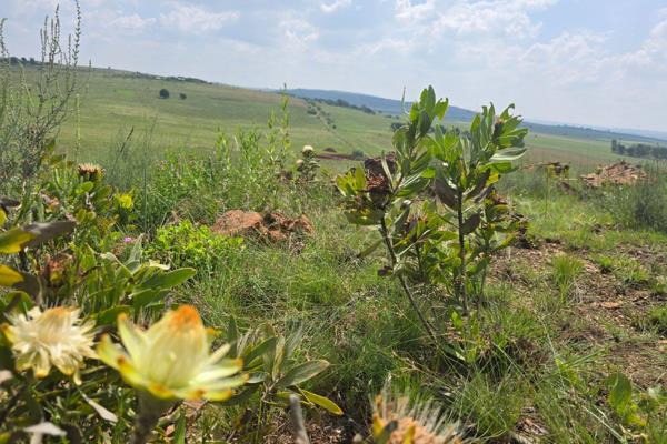 Golden Valley, Magaliesburg: Beautiful 21 ha vacant land –reach for the ...