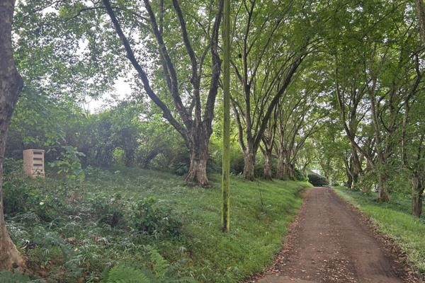 Stunning portion of land with views in a well managed country estate in Upper Winterskloof. 

To schedule a viewing, contact Acutts ...