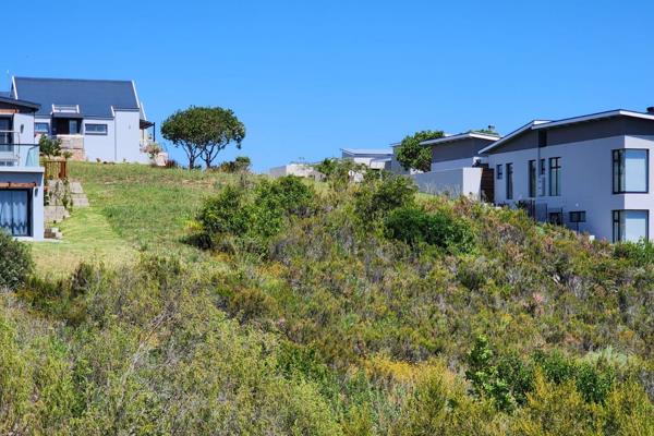 This 1,189m&#178; vacant stand is perched on a slope, offering stunning views of the lush valley and the iconic Outeniqua ...