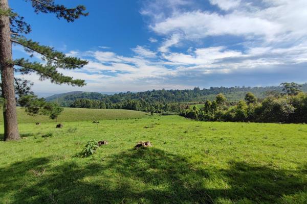 This is the opportunity of a lifetime to secure a massive 82-hectare property strategically positioned between Hilton and ...