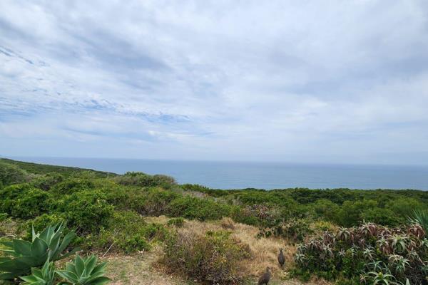 I&#39;ve got an amazing opportunity for you! This vacant plot in Linkside, Mossel Bay, is one of the last few remaining and offers ...