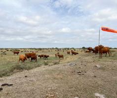 Farm for sale in Mossel Bay Rural